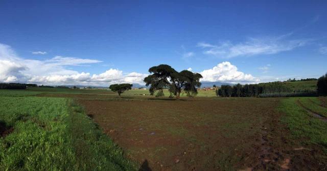 首页-PT视讯厅真人官方网站