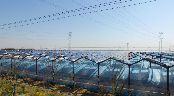 首页-PT视讯厅真人官方网站