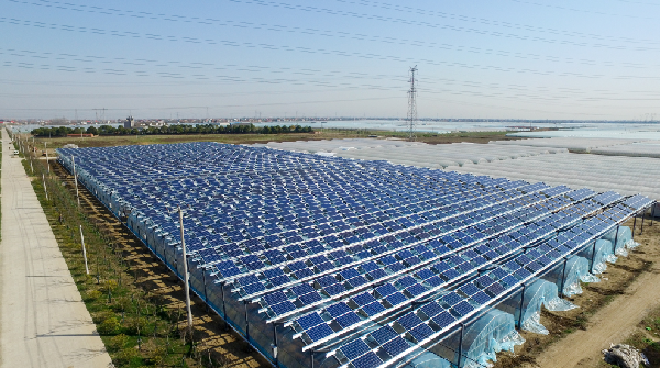 首页-PT视讯厅真人官方网站