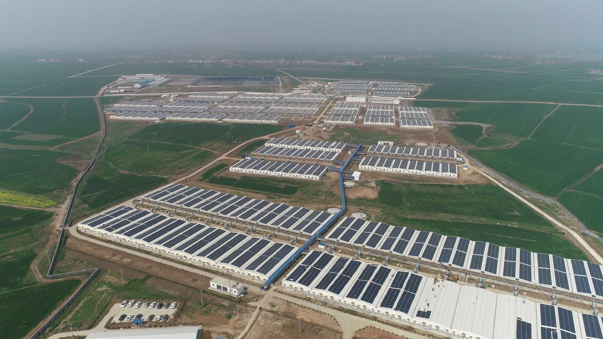 首页-PT视讯厅真人官方网站