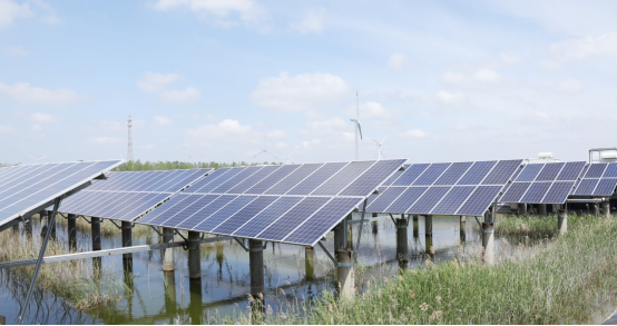 首页-PT视讯厅真人官方网站