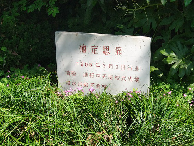 首页-PT视讯厅真人官方网站