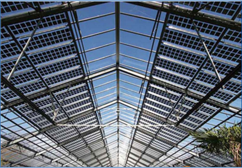 首页-PT视讯厅真人官方网站