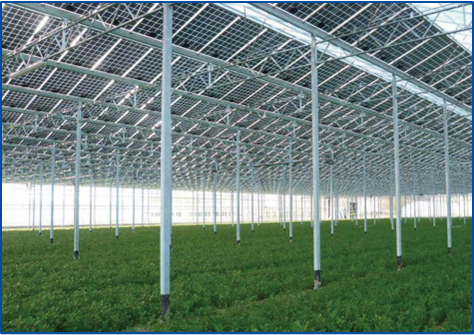 首页-PT视讯厅真人官方网站